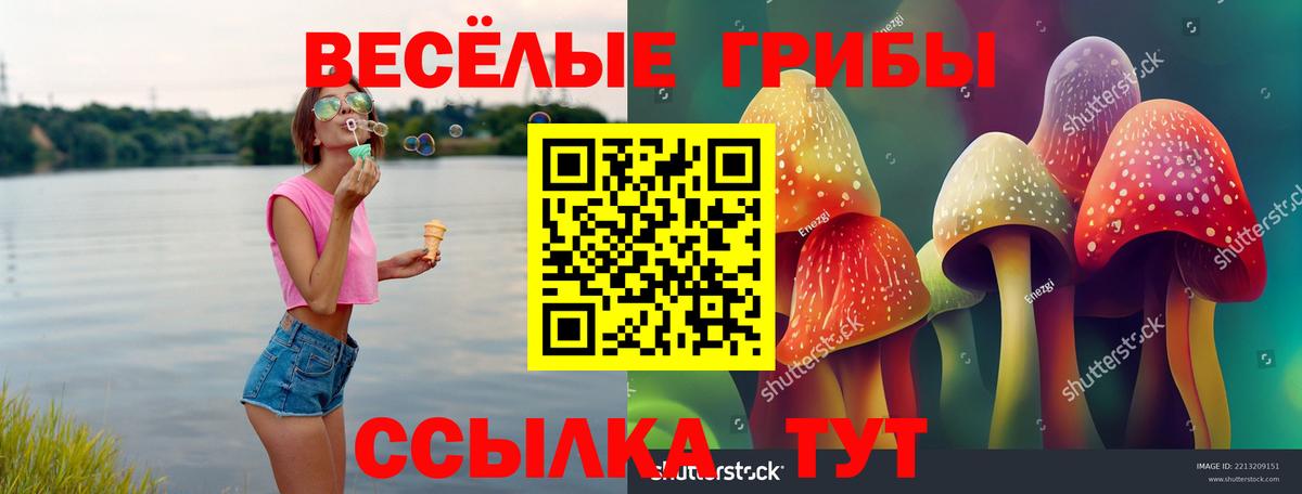 Галлюциногенные грибы GOLDEN TEACHER  Вход с VPN  Коломна 